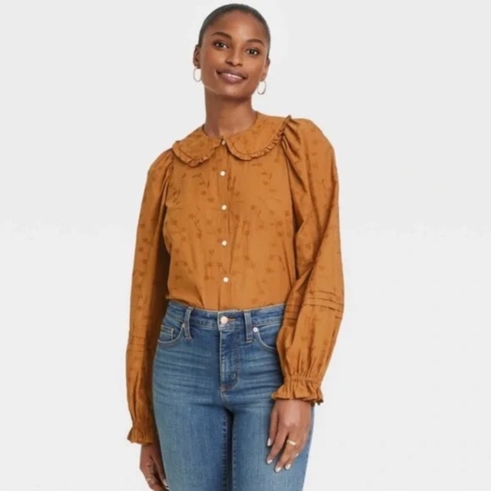 Burnt Orange Button Down Collar Shirt